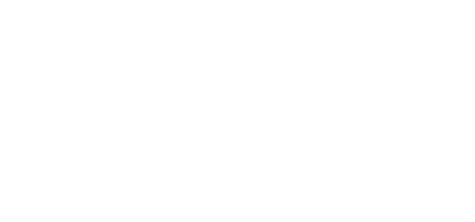 BLLEX Professional